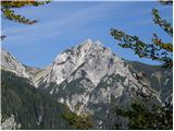 Stara Fužina - Planina Zgornja Grintovica